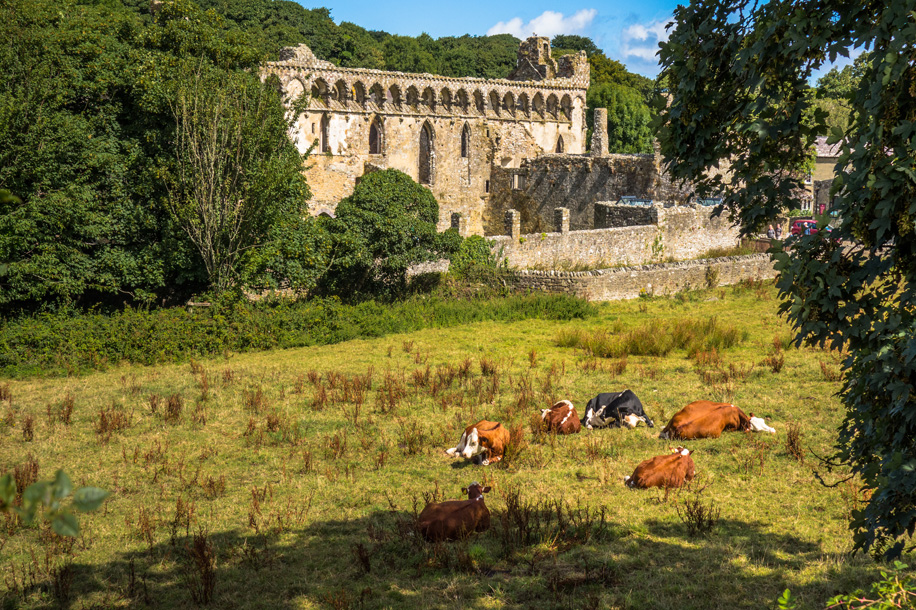 Séjour touristique et culturel en Ardèche : entre patrimoine et nature