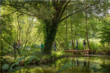 49 œuvres à découvrir en barque dans les Hortillonnages d’Amiens cet été 