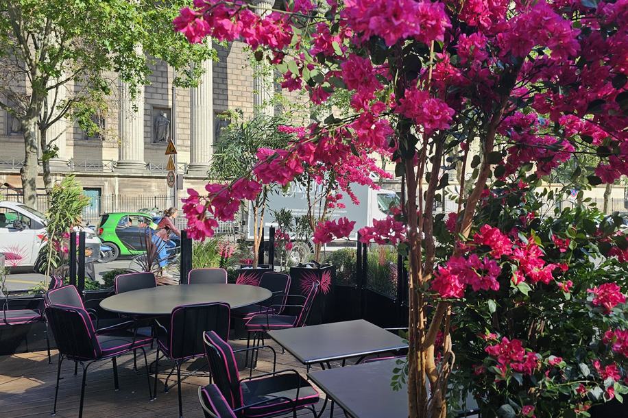 Fauchon transforme sa terrasse estivale en Terrasse Rosée