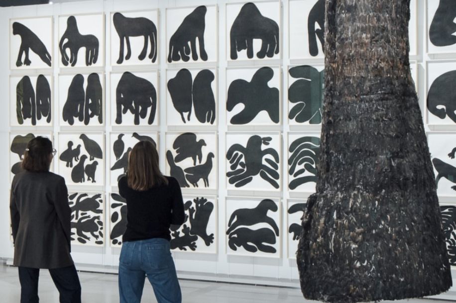 Pass gratuit d'un an pour la Fondation Cartier, réservé aux moins de 30 ans