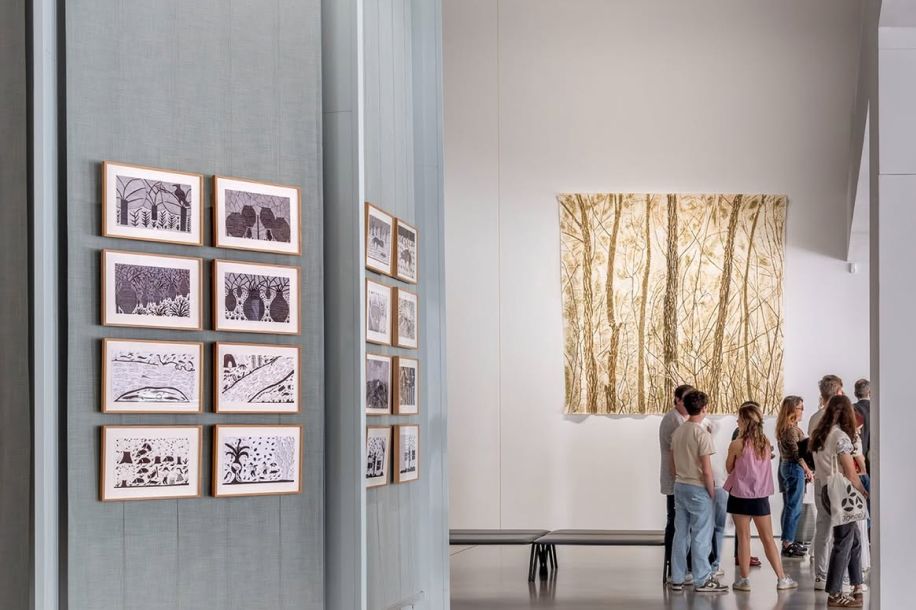 Pass gratuit d'un an pour la Fondation Cartier, réservé aux moins de 30 ans