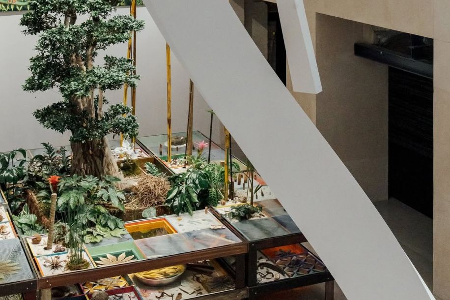 Pass gratuit d'un an pour la Fondation Cartier, réservé aux moins de 30 ans