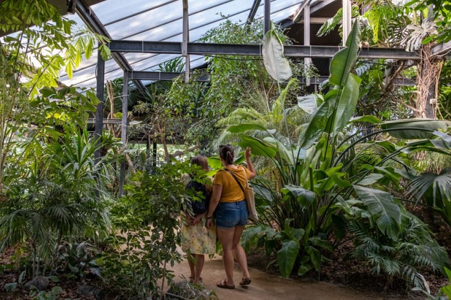 canicule paris parc floral bagatelle gratuits 1