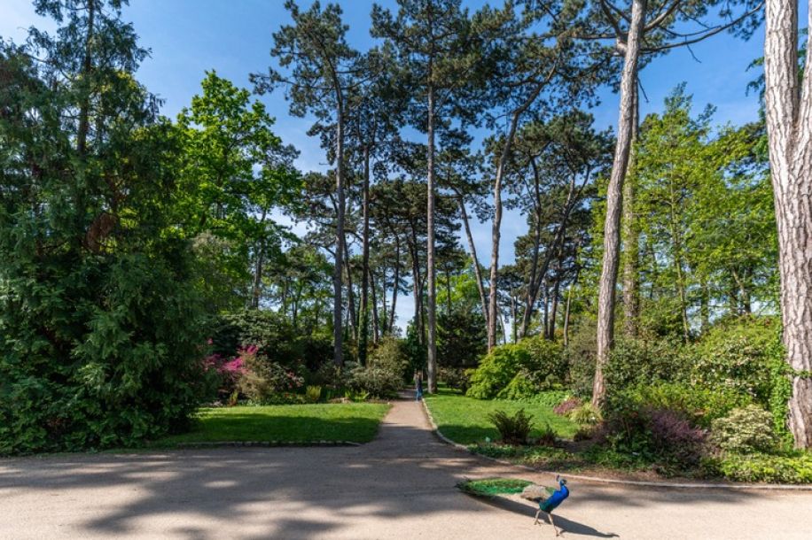 Le Parc Bagatelle et le Parc Floral en accès gratuit pendant la canicule