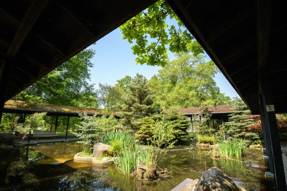 Le Parc Bagatelle et le Parc Floral en accès gratuit pendant la canicule