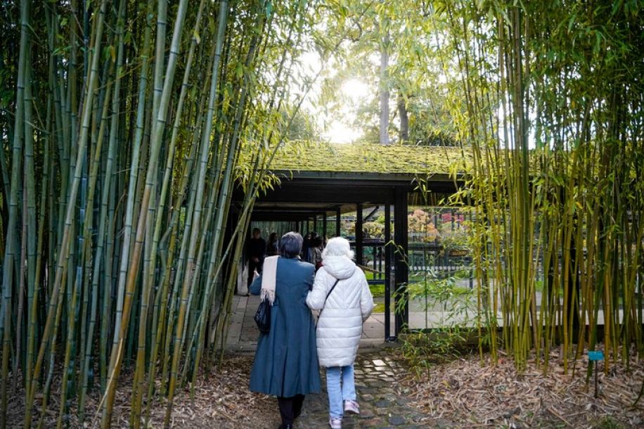 Le Parc Bagatelle et le Parc Floral en accès gratuit pendant la canicule