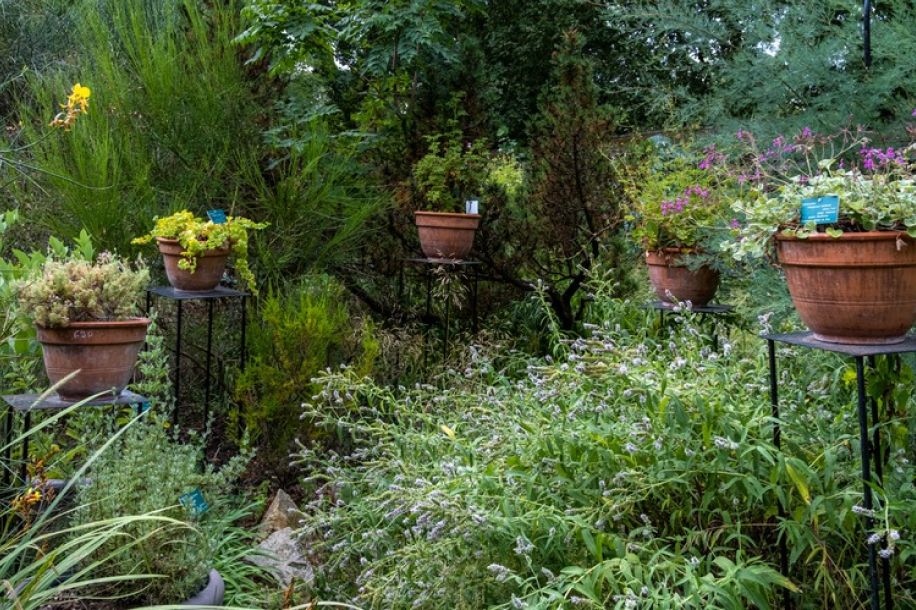 Le Parc Bagatelle et le Parc Floral en accès gratuit pendant la canicule