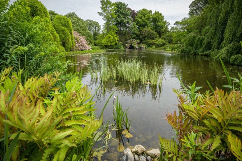 Le Parc Bagatelle et le Parc Floral en accès gratuit pendant la canicule
