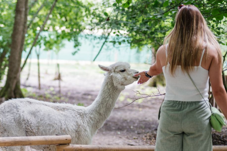 Malowe Nature, la ferme pédagogique qui propose animaux à caresser, atelier apprenti fermier et jeux en plein air