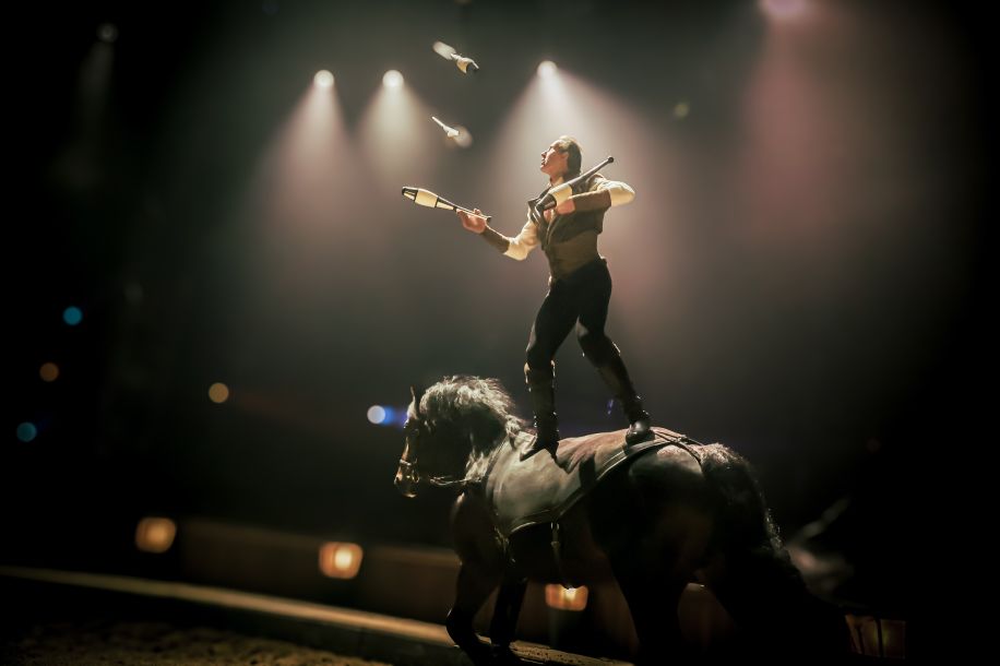 Les Folies Gruss, la comédie musicale équestre à découvrir dès 22,50 € !
