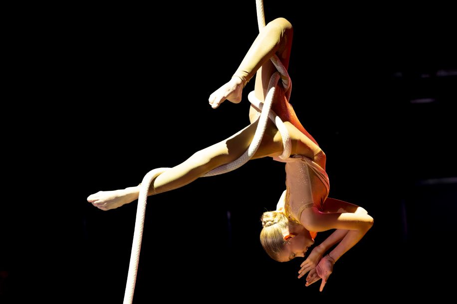 Les Folies Gruss, la comédie musicale équestre à découvrir dès 22,50 € !