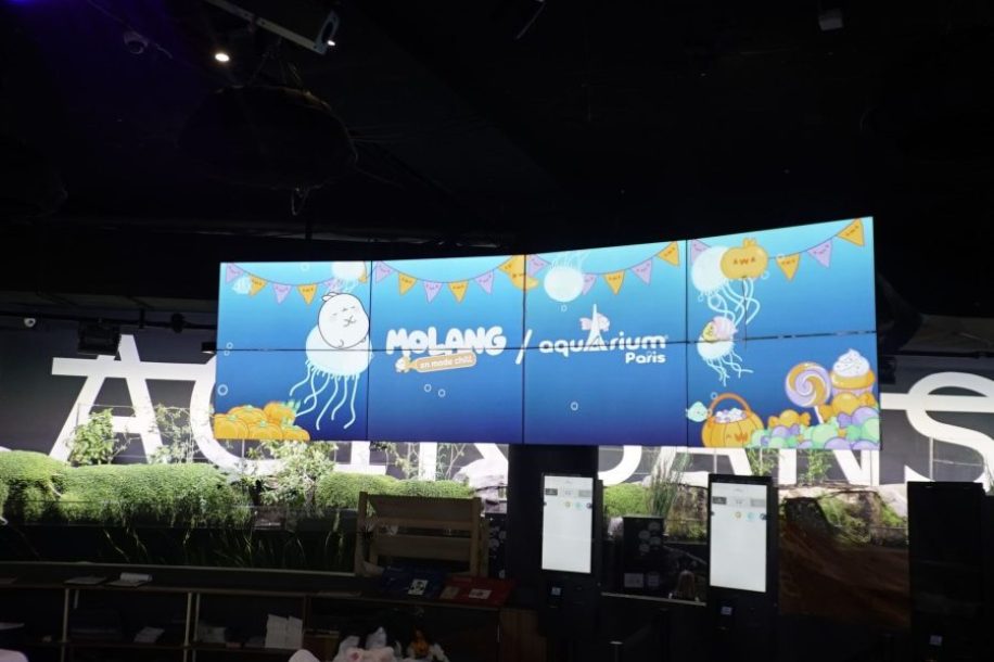 Molang s'installe à l'Aquarium de Paris : balade marine en mode chill jusqu'au 3 janvier 2027 - photo 2