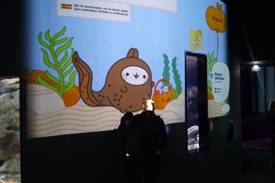 Molang s'installe à l'Aquarium de Paris : balade marine en mode chill jusqu'au 3 janvier 2027 - photo 3