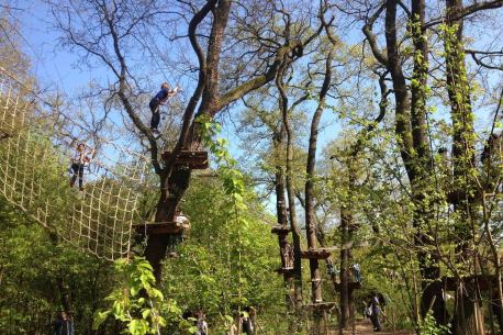 Accrobranche à Paris : le Parc Floral devient votre terrain de jeu !