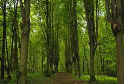 Des parcs ouverts jusqu'à 23h