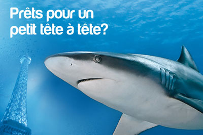 Visite interactive des coulisses du Grand Rex + visite de l’aquarium à partir de 10 €