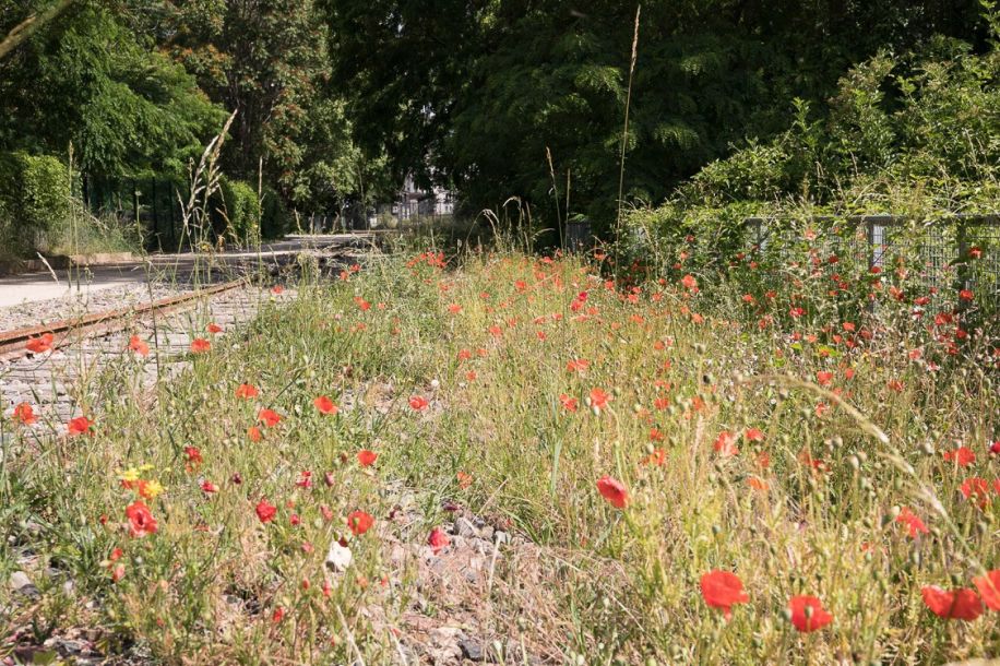 La Petite Ceinture : des balades nature gratuites sur les rails de Paris