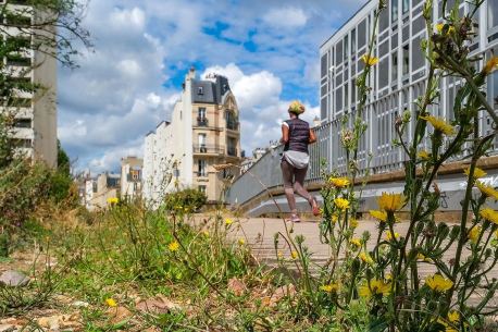 balade nature paris petite ceinture 1