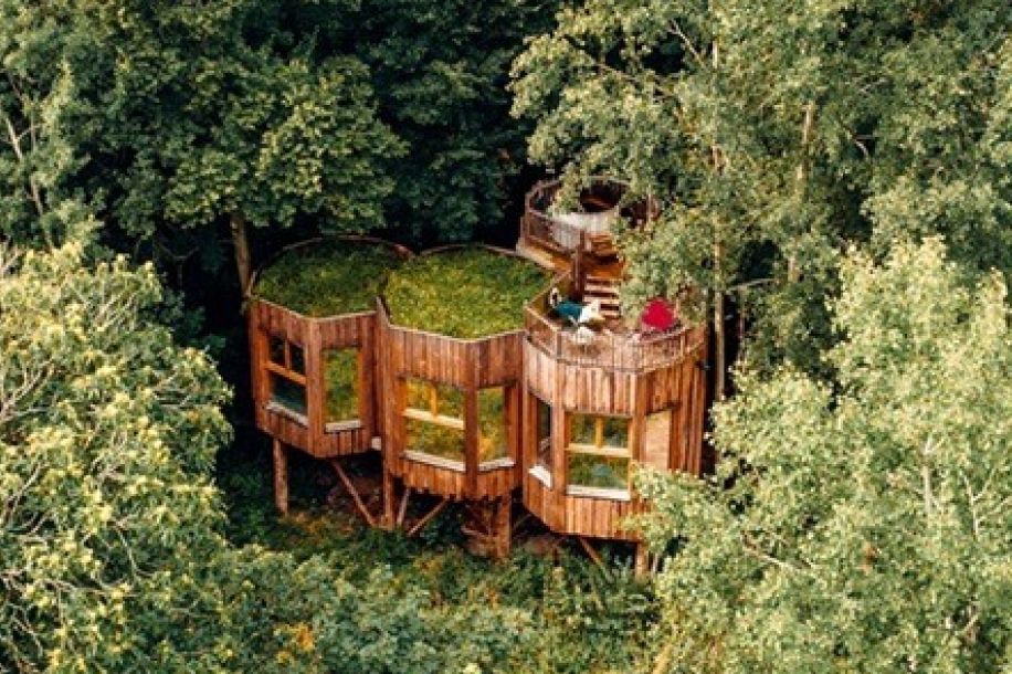 Cabanes perchées dans les arbres : l'expérience insolite à 50 min de Paris