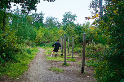 Parcours sportif gratuit du bois de Vincennes