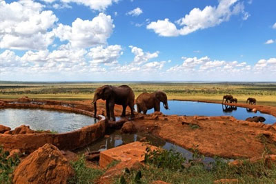 Kenya : séjour 4* all inclusive 8J/7N à partir de 699 € au lieu de 1399 €