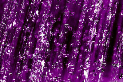 Soirée insolite : balade avec parapluie sous une pluie violette