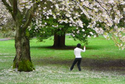 Cours gratuit de Taï Chi dans un parc