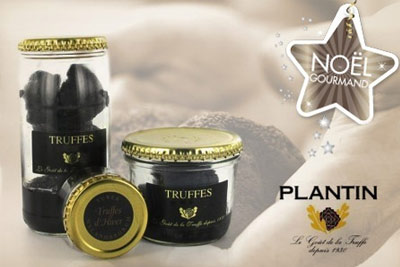 50g ou 100g de truffes noires Plantin, en brisures ou entières dès 44 € au lieu de 92 €