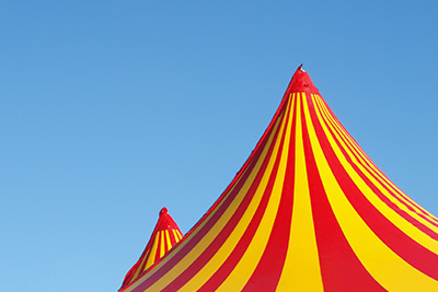 Demande de places gratuites pour le cirque Pinder (pour les habitants du 12ème)