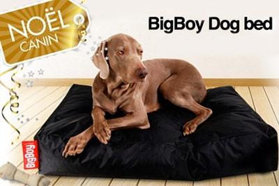 Tapis pour chien BIG BOY à 35 € au lieu de 79 €