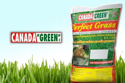 Sachet de 1 kg de Perfect Grass Canada Green à 19,52 € au lieu de 39 €