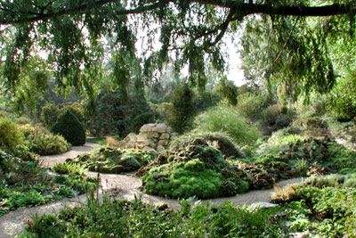 Conférence gratuite sur les techniques de gestion écologique au jardin