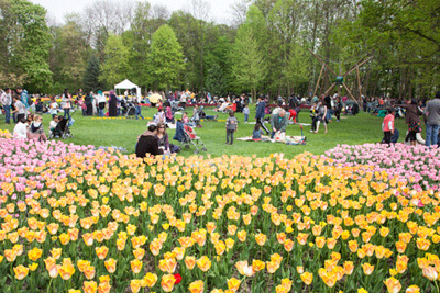 Fête des Tulipes 2017, théâtre, cirque, spectacles de danses, etc.