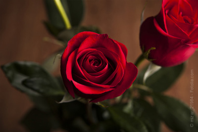 Flash Mob gratuit spécial Saint-Valentin