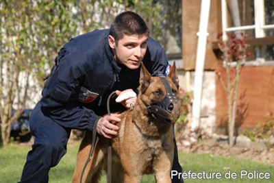 Présentation gratuite et démonstration de la brigade cynophile de Paris