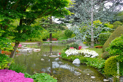 Entrée gratuite pour le magnifique Jardin Albert-Kahn (RÉSERVEZ MAINTENANT)