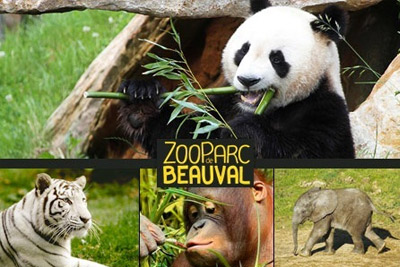 zooparc beauval pas cher zooparc beauval pas cher