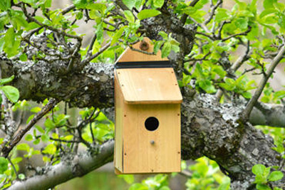 Cours gratuit de construction d'un nichoir en bois pour oiseaux