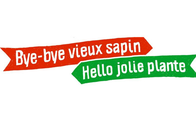 Donnez votre vieux sapin et recevez gratuitement une jolie plante 