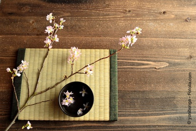 Démonstration gratuite d'ikebana (art japonais de la composition florale)