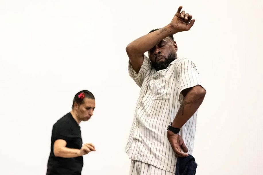 Dans(e) la lumière ! : une exposition gratuite et des spectacles à petit prix