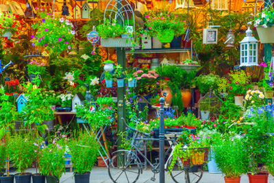 Jardinage insolite gratuit à Paris 