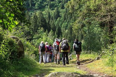 Week-end gratuit en forêt avec Bivouac et promenade