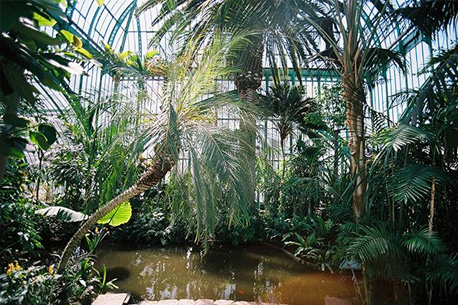 Jardin botanique gratuit sous serres