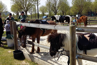 Balade en poney gratuite au Westfield Carré Sénart