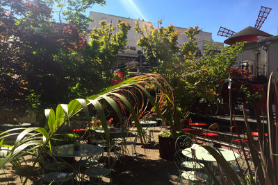 Bar insolite avec terrasse végétalisée