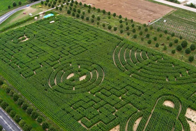 Labyrinthe insolite en plein air de nuit 