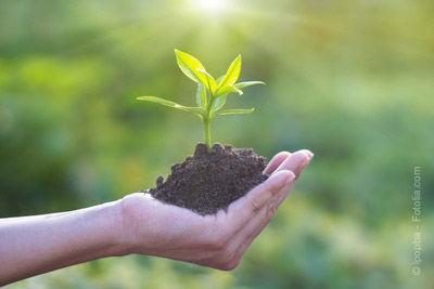 Ateliers bio organisés par Bio c' Bon