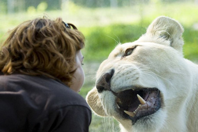 Promo Parc des Félins à 14 € au lieu de 20 €