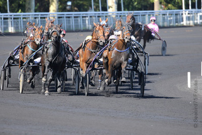 Animations gratuites pour la Fête du Cheval